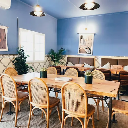 Malacuna Peniche Ferrel (Leiria)